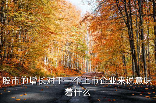 一個(gè)公司上市意味著什么,上市公司意味著什么