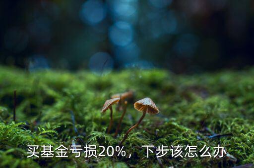 買基金虧損20%，下步該怎么辦