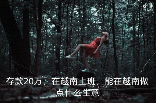 存款20萬，在越南上班，能在越南做點什么生意