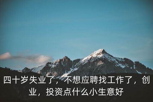 四十歲失業(yè)了，不想應(yīng)聘找工作了，創(chuàng)業(yè)，投資點(diǎn)什么小生意好