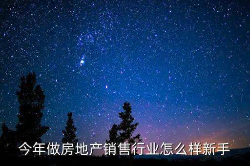 今年做房地產(chǎn)銷售行業(yè)怎么樣新手