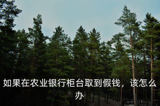 如果在農(nóng)業(yè)銀行柜臺取到假錢，該怎么辦