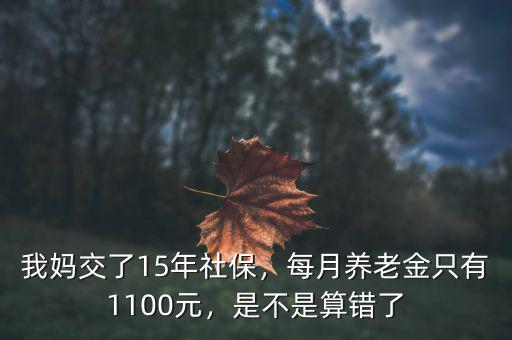 我媽交了15年社保，每月養(yǎng)老金只有1100元，是不是算錯(cuò)了