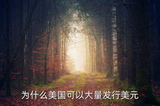 為什么美國(guó)可以大量發(fā)行美元