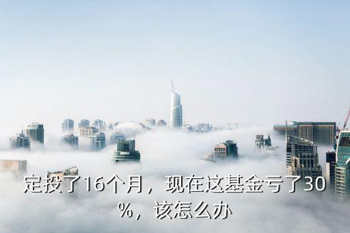 定投了16個(gè)月，現(xiàn)在這基金虧了30%，該怎么辦