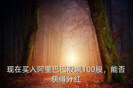 現(xiàn)在買入阿里巴巴股票100股，能否獲得分紅