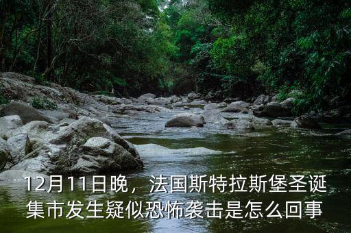 12月11日晚，法國斯特拉斯堡圣誕集市發(fā)生疑似恐怖襲擊是怎么回事