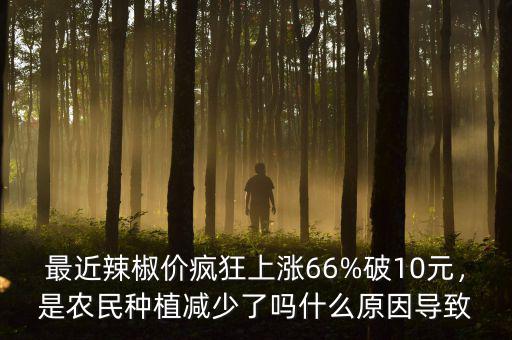 最近辣椒價(jià)瘋狂上漲66%破10元，是農(nóng)民種植減少了嗎什么原因?qū)е? class=