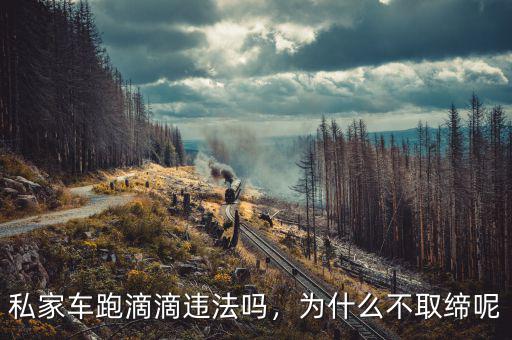 私家車(chē)跑滴滴違法嗎，為什么不取締呢