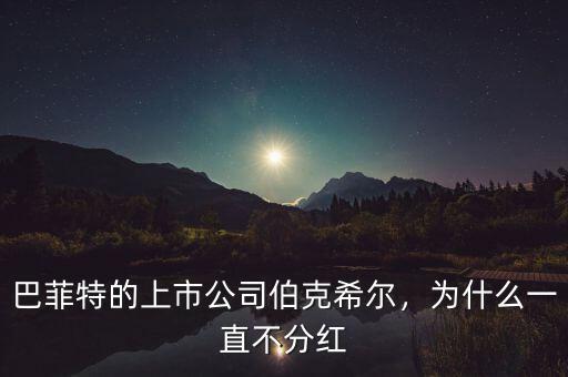 美國上市公司為什么可以不分紅嗎,巴菲特的上市公司伯克希爾