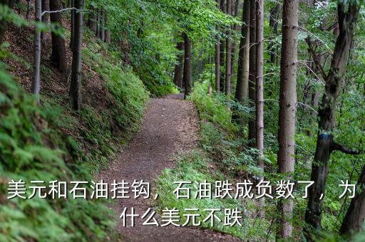 美元和石油掛鉤，石油跌成負(fù)數(shù)了，為什么美元不跌