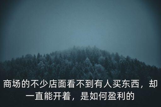 商場的不少店面看不到有人買東西，卻一直能開著，是如何盈利的