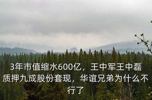 3年市值縮水600億，王中軍王中磊質(zhì)押九成股份套現(xiàn)，華誼兄弟為什么不行了