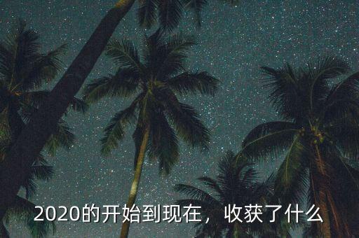 2020的開始到現(xiàn)在，收獲了什么