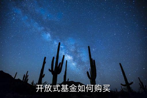 怎么在陸金所買(mǎi)基金,在哪里買(mǎi)基金比較好