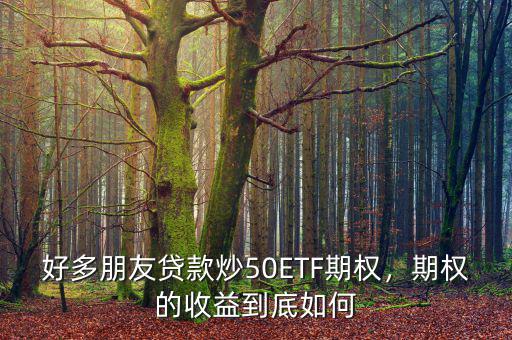 好多朋友貸款炒50ETF期權(quán)，期權(quán)的收益到底如何