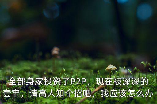 全部身家投資了P2P，現(xiàn)在被深深的套牢，請(qǐng)高人知個(gè)招吧，我應(yīng)該怎么辦