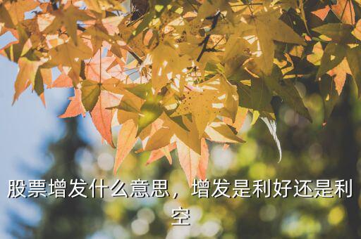 中止增發(fā)什么意思,股票增發(fā)什么意思