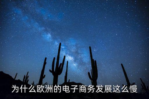 為什么歐洲的電子商務發(fā)展這么慢