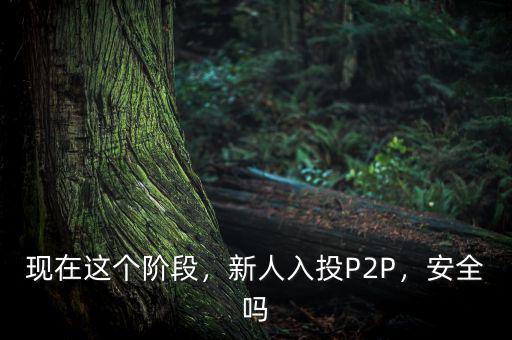 現(xiàn)在這個階段，新人入投P2P，安全嗎