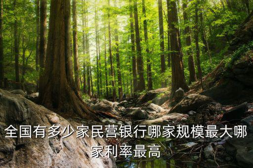 全國(guó)有多少家民營(yíng)銀行哪家規(guī)模最大哪家利率最高