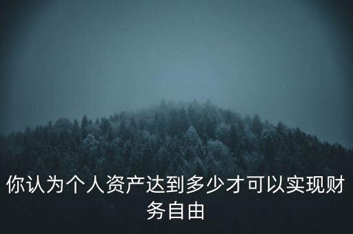 你認(rèn)為個(gè)人資產(chǎn)達(dá)到多少才可以實(shí)現(xiàn)財(cái)務(wù)自由