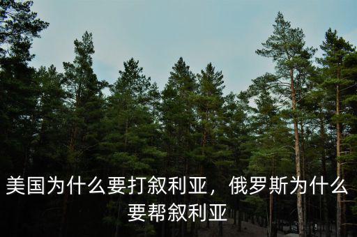 美俄為什么要爭(zhēng)敘利亞,俄羅斯為什么要幫敘利亞