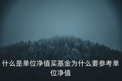 什么是單位凈值買(mǎi)基金為什么要參考單位凈值