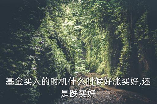 基金什么時(shí)候漲,什么時(shí)候回回升