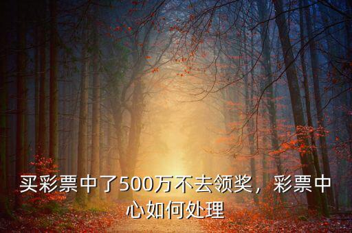 qq彩票中500萬怎么提,彩票中心如何處理