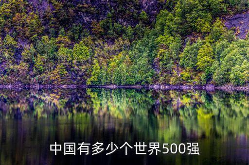 中國有多少個世界500強(qiáng)