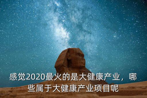 感覺(jué)2020最火的是大健康產(chǎn)業(yè)，哪些屬于大健康產(chǎn)業(yè)項(xiàng)目呢