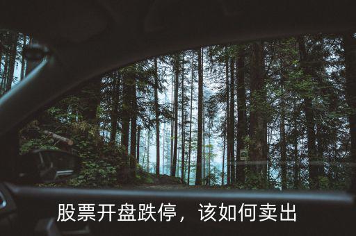 股票開盤跌停，該如何賣出