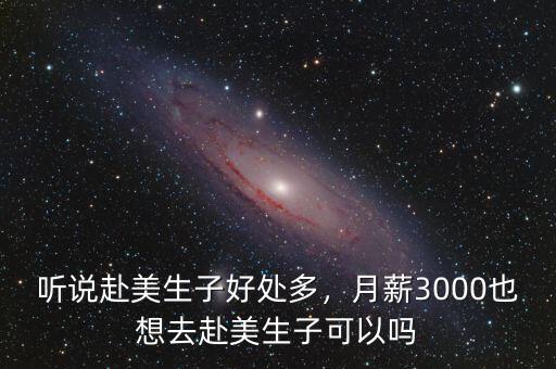 聽說赴美生子好處多，月薪3000也想去赴美生子可以嗎