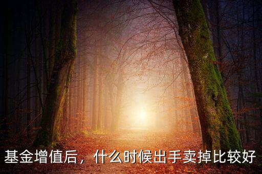 持有B基金什么時(shí)間出手劃箅,基金持有多長時(shí)間可以賣