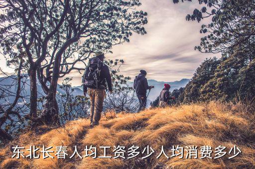 東北長春人均工資多少人均消費多少