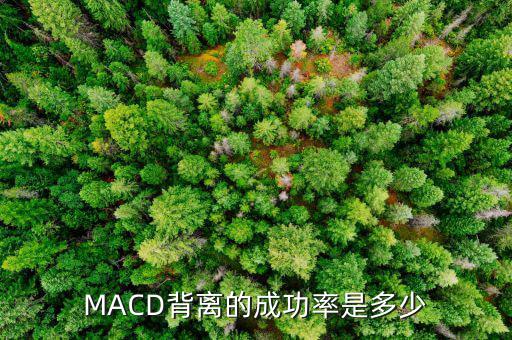 MACD背離的成功率是多少