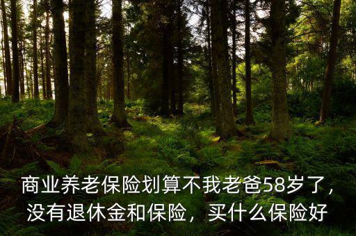 商業(yè)養(yǎng)老保險劃算不我老爸58歲了，沒有退休金和保險，買什么保險好