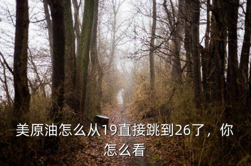 美原油怎么從19直接跳到26了，你怎么看