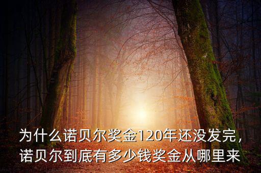 為什么諾貝爾獎(jiǎng)金120年還沒發(fā)完，諾貝爾到底有多少錢獎(jiǎng)金從哪里來