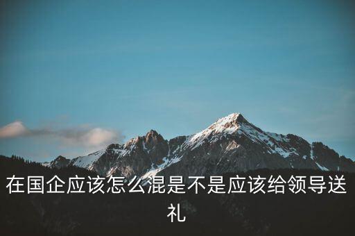 沒(méi)有關(guān)系在國(guó)企怎么混,在國(guó)企應(yīng)該怎么混