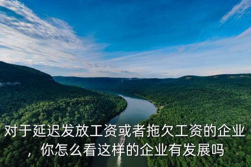 對(duì)于延遲發(fā)放工資或者拖欠工資的企業(yè)，你怎么看這樣的企業(yè)有發(fā)展嗎