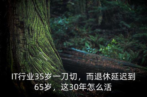 IT行業(yè)35歲一刀切，而退休延遲到65歲，這30年怎么活