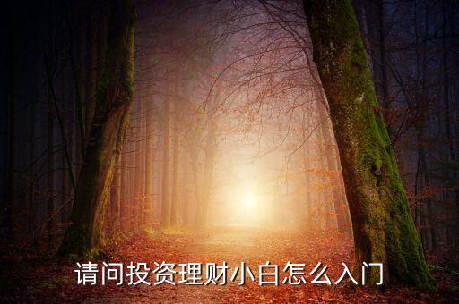 請(qǐng)問(wèn)投資理財(cái)小白怎么入門(mén)