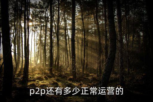 p2p運(yùn)營(yíng)是做什么的,P2P公司都是怎么運(yùn)作的