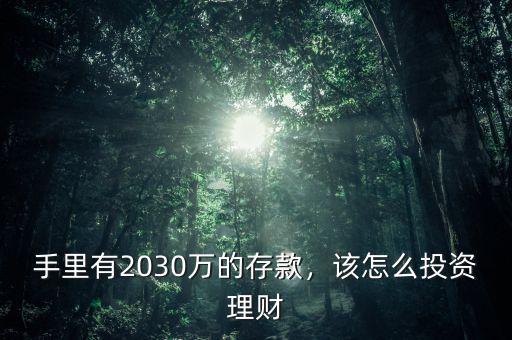 手里有2030萬的存款，該怎么投資理財(cái)