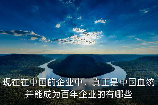 現(xiàn)在在中國的企業(yè)中，真正是中國血統(tǒng)并能成為百年企業(yè)的有哪些