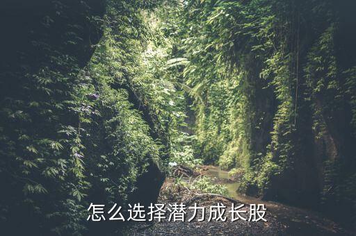 怎么選成長(zhǎng)股,如何選擇成長(zhǎng)股