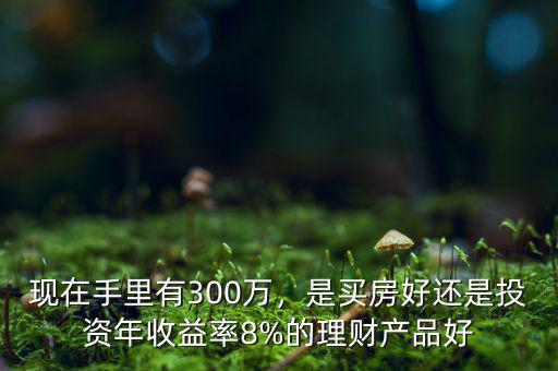 300萬投資怎么算回報(bào),300萬集中投資黃金