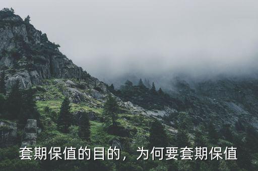 為什么套期保值后風(fēng)險變小,套期保值的目的